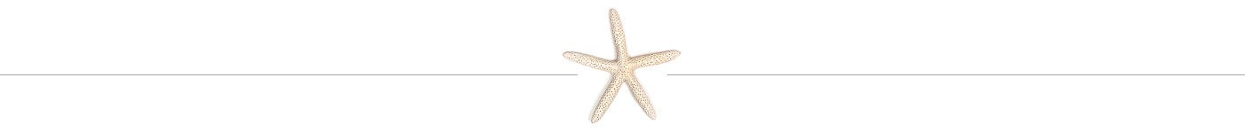 starfishdivider